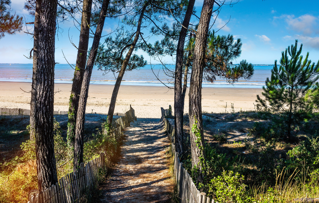 Tourisme en Charente-Maritime : pourquoi les vacanciers ont moins dépensé cet été